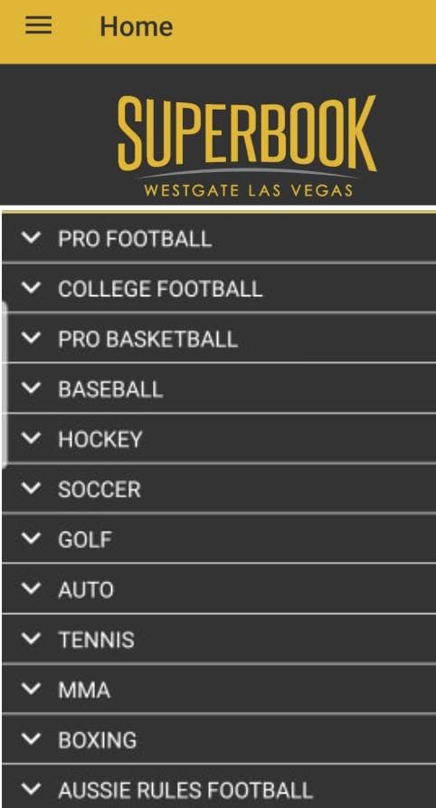 Screen Shot 2020-03-13 at 5.30.34 PM